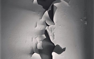 FROM THE INSIDE . GUMBUCKET