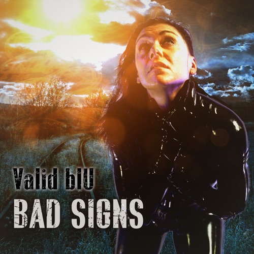 Valid Blu - Bad Signs - Single - 2021